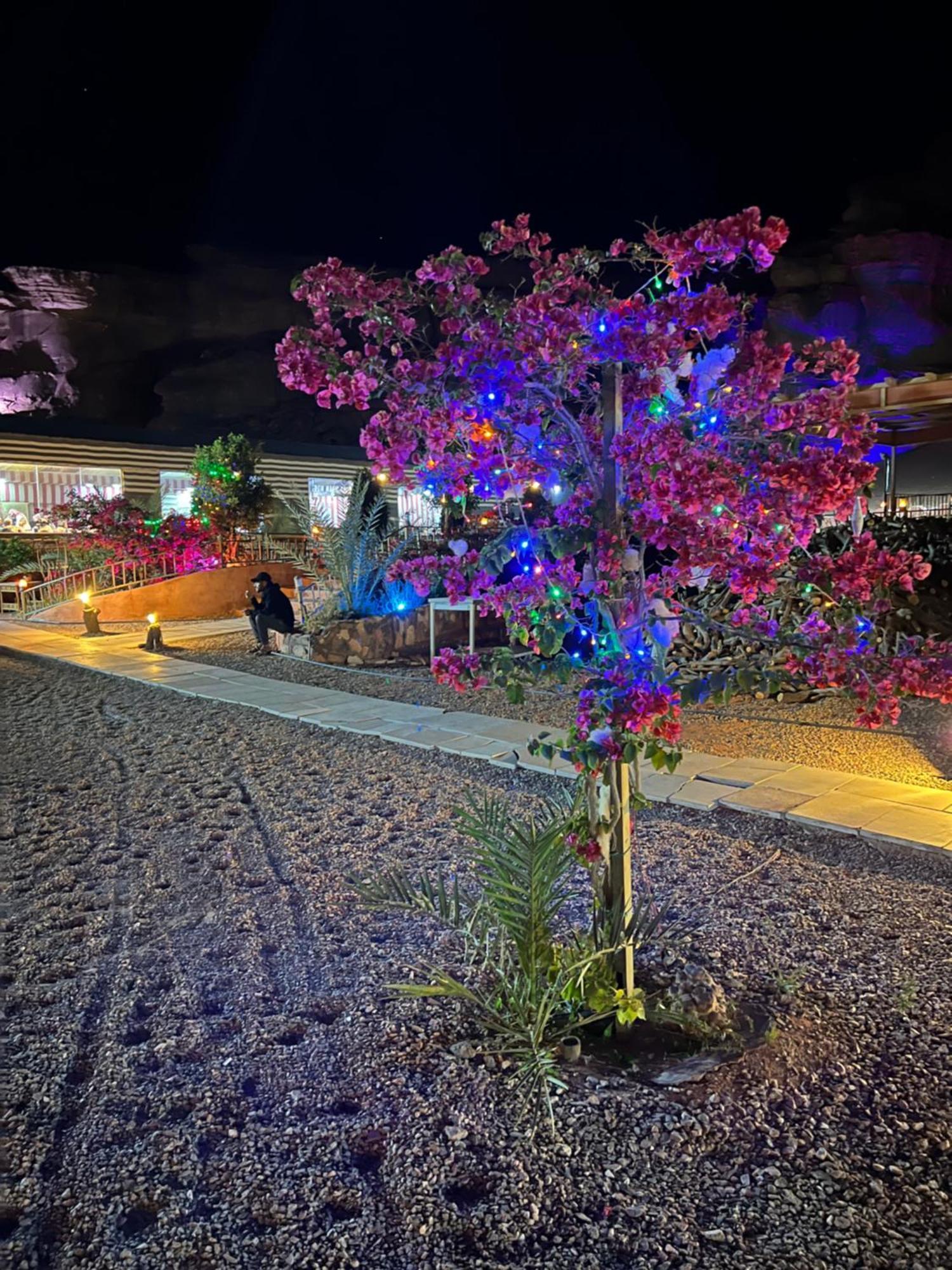 Moon Magic Valley Διαμέρισμα Ουάντι Ραμ Εξωτερικό φωτογραφία